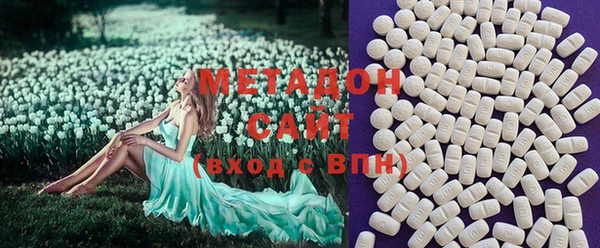 ПСИЛОЦИБИНОВЫЕ ГРИБЫ Дмитриев