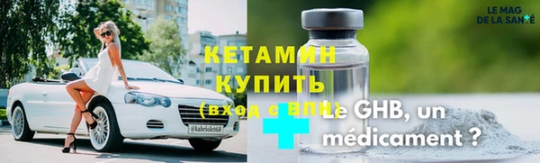 ПСИЛОЦИБИНОВЫЕ ГРИБЫ Дмитриев