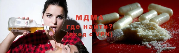 ПСИЛОЦИБИНОВЫЕ ГРИБЫ Дмитриев