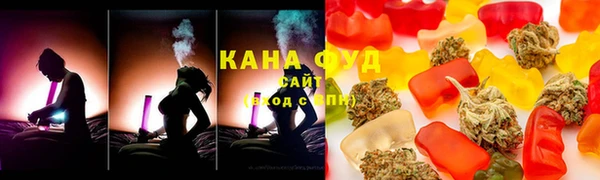 ПСИЛОЦИБИНОВЫЕ ГРИБЫ Дмитриев