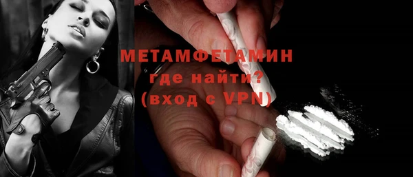 ПСИЛОЦИБИНОВЫЕ ГРИБЫ Дмитриев