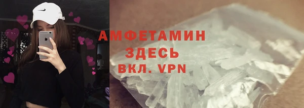 ПСИЛОЦИБИНОВЫЕ ГРИБЫ Дмитриев