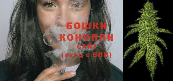 ПСИЛОЦИБИНОВЫЕ ГРИБЫ Дмитриев