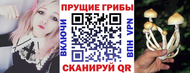 Купить  Инза  Псилоцибиновые грибы Magic Shrooms 